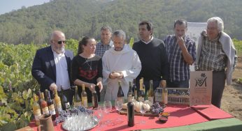 Todo listo en Quilpué para vivir la cuarta versión de la Fiesta de la Vendimia