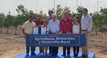 Chile como potencia alimentaria y la importancia del nuevo Ministerio