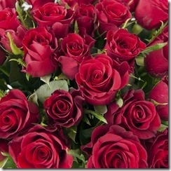 A closeup of a bouquet of red roses; Shutterstock ID 95558536; PO: redownload