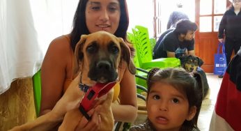 150 mascotas de Glorias Navales ya cuentan con su microchip tras operativo Veterinario en Terreno