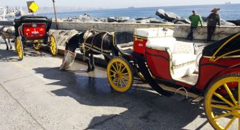 Victorias de Viña del Mar dejarán de circular desde marzo: Evalúan reemplazar los caballos