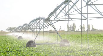 Región de Valparaíso: FIA e INIA impulsan programa de innovación en el uso eficiente del agua para riego agrícola