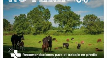 INDAP elabora manual para prevenir Covid-19 en el trabajo de la pequeña agricultura