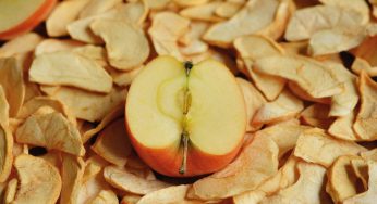 Impulso en el agro: FIA lanza libro para potenciar la industria de deshidratados