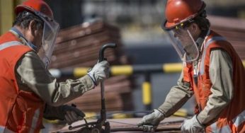 Un 96% de quienes que se han acogido a la Ley de protección al empleo son micro o pequeña empresa