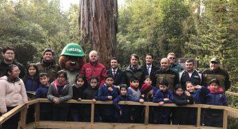 Ministro Walker anuncia apertura gradual de Parques y Reservas Nacionales