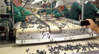 Gobierno anuncia medidas de liquidez para micro, pequeñas y medianas empresas e inyecta US$ 150 millones a Crédito Corfo MiPyme