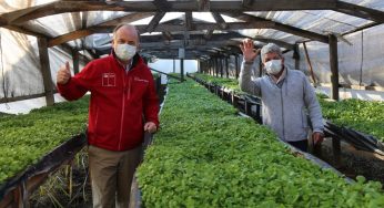 Ministro Walker destaca implementación del plan Paso a Paso en el agro: “Tenemos que hacer un último esfuerzo en todos los centros de venta de alimentos para no dar un paso en falso”