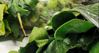 Evita salir de casa: consejos para que tus alimentos duren meses