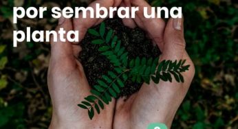 EcoHeroes, la aplicación que entrega recompensas a quienes reciclan y cuidan el medioambiente
