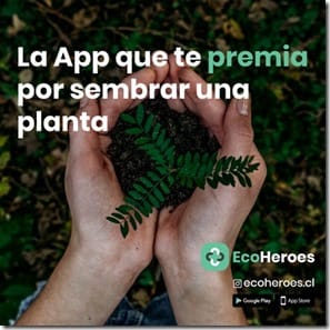 Sembrar una planta - post 1