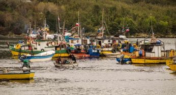 Senado aprueba por unanimidad proyecto del Gobierno que apoya a pescadores artesanales de todo el país