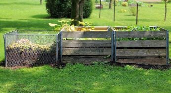 Tres formas de hacer abono en casa: un primer paso para la agricultura sustentable
