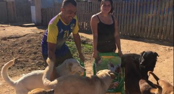 Donación de 100 toneladas de comida para perros y gatos permite alimentar a miles de animales abandonados