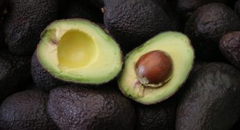 Ministro Walker anuncia aprobación de exportaciones de palta chilena a Australia