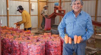 Pequeños agricultores podrán abastecer con alimentos a centros penitenciarios del país