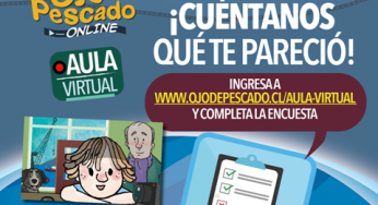Ojo de Pescado invita a que niños, niñas y jóvenes realicen sus propias animaciones desde sus hogares
