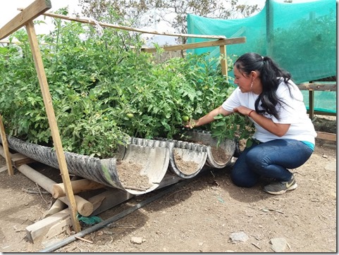 macarena-valdés-y-horticultura