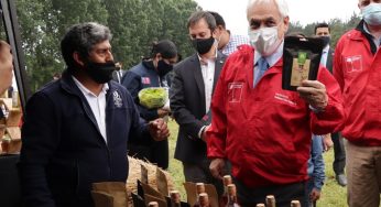 Presidente e INDAP anuncian programa que rescata alimentos ancestrales