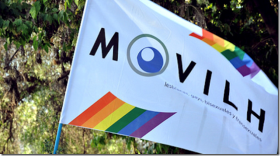 bandera-movilh