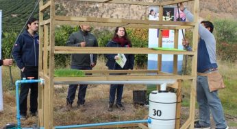 Alternativa nutricional: agricultores de Valparaíso producen su propio forraje hidropónico