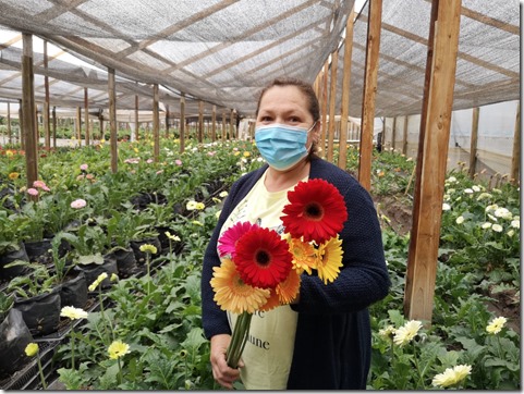 INDAP-Entrega-Bonos-Emergencia-Floricultores-Valparaíso-2