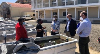 Primera salida a terreno: Subsecretaria y director del Indespa anuncian Programa Caleta Inteligente para apoyar a la pesca artesanal