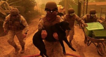 Incendios en Quilpué: Ejército desplegó a su personal para apoyar a la comunidad