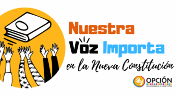 Lanzan innovadora plataforma para llevar la voz de los niños, niñas y adolescentes a la nueva Constitución
