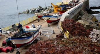 Mesa de la pesca: Sector artesanal e industria dialogan sobre la ley corta