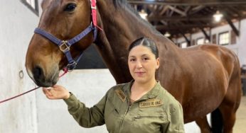 La salud animal es la base para alcanzar triunfos deportivos