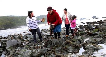 Entra en vigencia ley de equidad de género en la pesca y Subsecretaria destaca que "estamos haciendo historia"