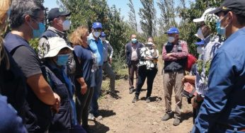 INDAP comparte experiencia con organismo paraguayo sobre financiamiento y comercialización en la pequeña agricultura