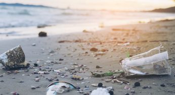 Realizarán limpiezas de playas en El Quisco
