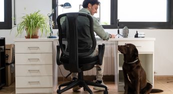 Ley de Copropiedad: ¿Qué derechos tienen las mascotas?