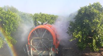 Realizaron seminario de manejo integrado de plagas cuarentenarias en cítricos