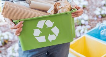 Día Mundial del Reciclaje y la importancia de un desarrollo sostenible