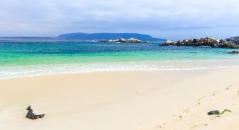 Cinco nuevos territorios fueron declarados oficialmente como Zonas de Interés Turístico