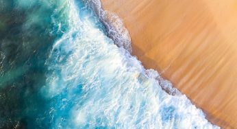 Día Mundial de los Océanos: “Se trata de un ecosistema tan perfecto que hay que protegerlo al máximo”