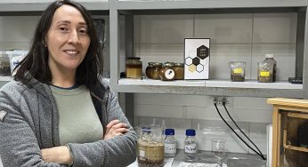 Investigadores buscan crear sistema a nivel mundial que pronostique la producción de miel