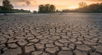 17 de junio: Día Mundial de Lucha contra la Desertificación y la Sequía