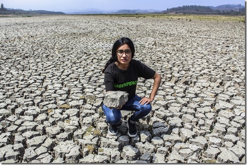 En el marco del Día de la Naturaleza, un grupo de activistas de Greenpeace caracterizados de fauna nativa llegaron hasta el Servicio Electoral para entregar una carta pidiendo a la institución electoral dar a conocer los programas que presentaron las candidaturas a miembros de la convención constituyente, con el fin de conocer los compromisos en la protección y defensa del medio ambiente en la Nueva Constitución.