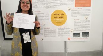 Ingeniera de la USM desarrolla innovador instrumento para cirugía veterinaria