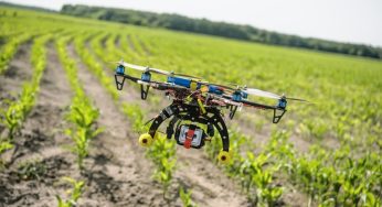 Futuro de la producción de fruta está en la incorporación de la Inteligencia Artificial