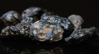 Nace Fundación Instituto Chileno de Astrominería que articulará trabajo con la Nasa y con la Agencia Europea Espacial