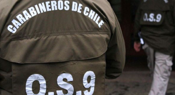 Detienen a sujeto que habría participado en secuestro de dos jóvenes en Viña del Mar: aseguraba ser del Tren de Aragua