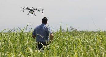 Proyecto Corfo Fortalece Pyme Aconcagua Quillota potenciará nuevas tecnologías en agricultores locales