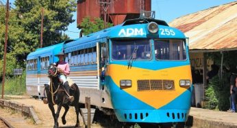 ¿Vamos en tren? Estos son los destinos y servicios turísticos disponibles este verano