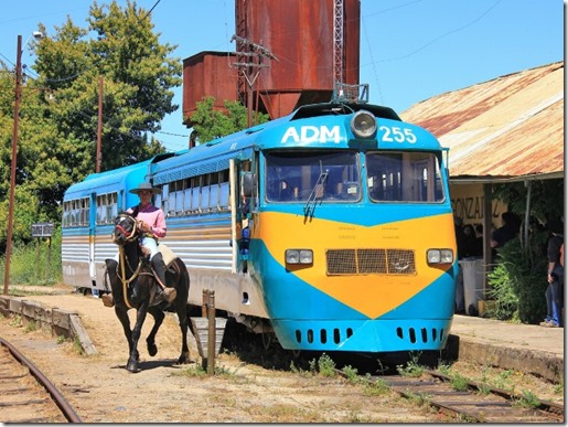 Trenes Turísticos 3