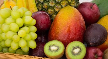 ¿A cuánto ascendió el monto? ¿Dónde comprar?: Averigua cómo funciona la beca de alimentación para la educación superior Junaeb